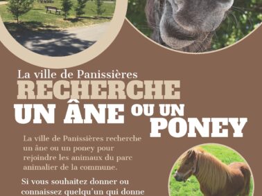 La commune de Panissières recherche un âne ou un poney