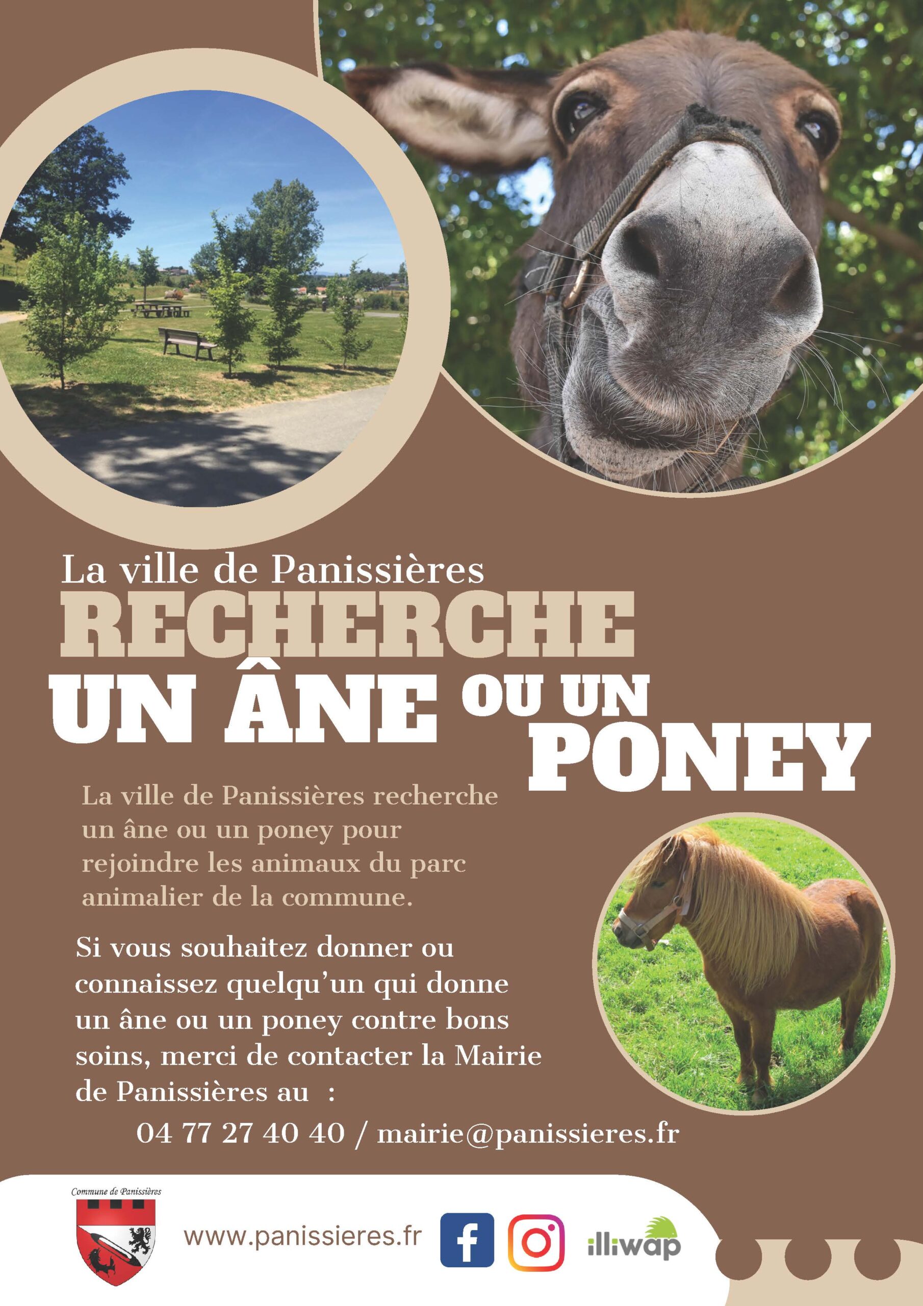 Lire la suite à propos de l’article La commune de Panissières recherche un âne ou un poney