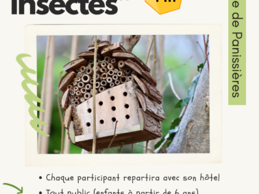 🐞 Atelier “Hôtel à insectes” 🐝