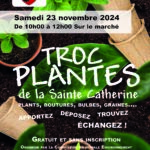 Troc plantes de la Sainte Catherine, préparez vos graines !