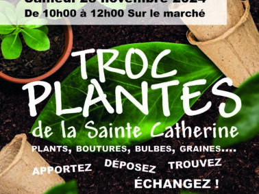 Troc plantes de la Sainte Catherine, préparez vos graines !