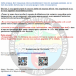 Attention : recrudescence des escroqueries en ligne