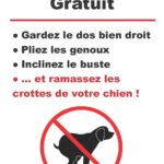 Alerte crottes de chiens !
