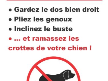 Alerte crottes de chiens !