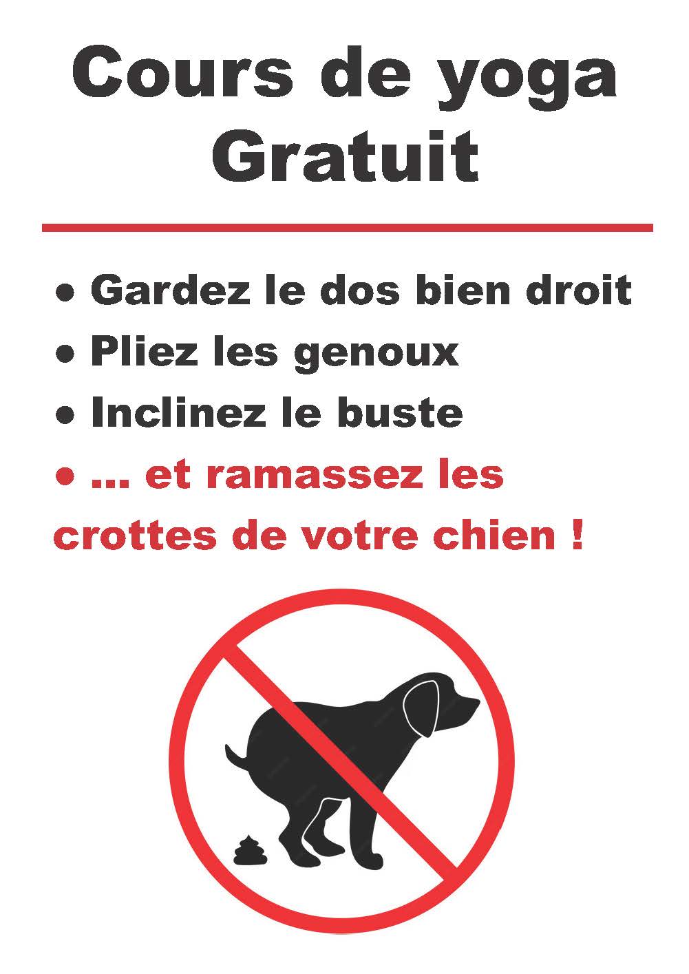 You are currently viewing Alerte crottes de chiens !