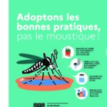 Moustique tigre : agissons pour passer un été plus tranquille