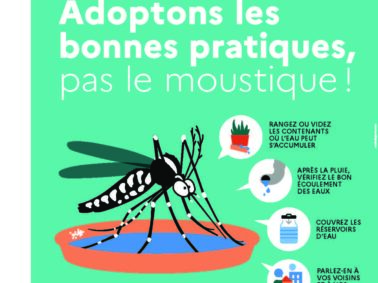 Moustique tigre : agissons pour passer un été plus tranquille