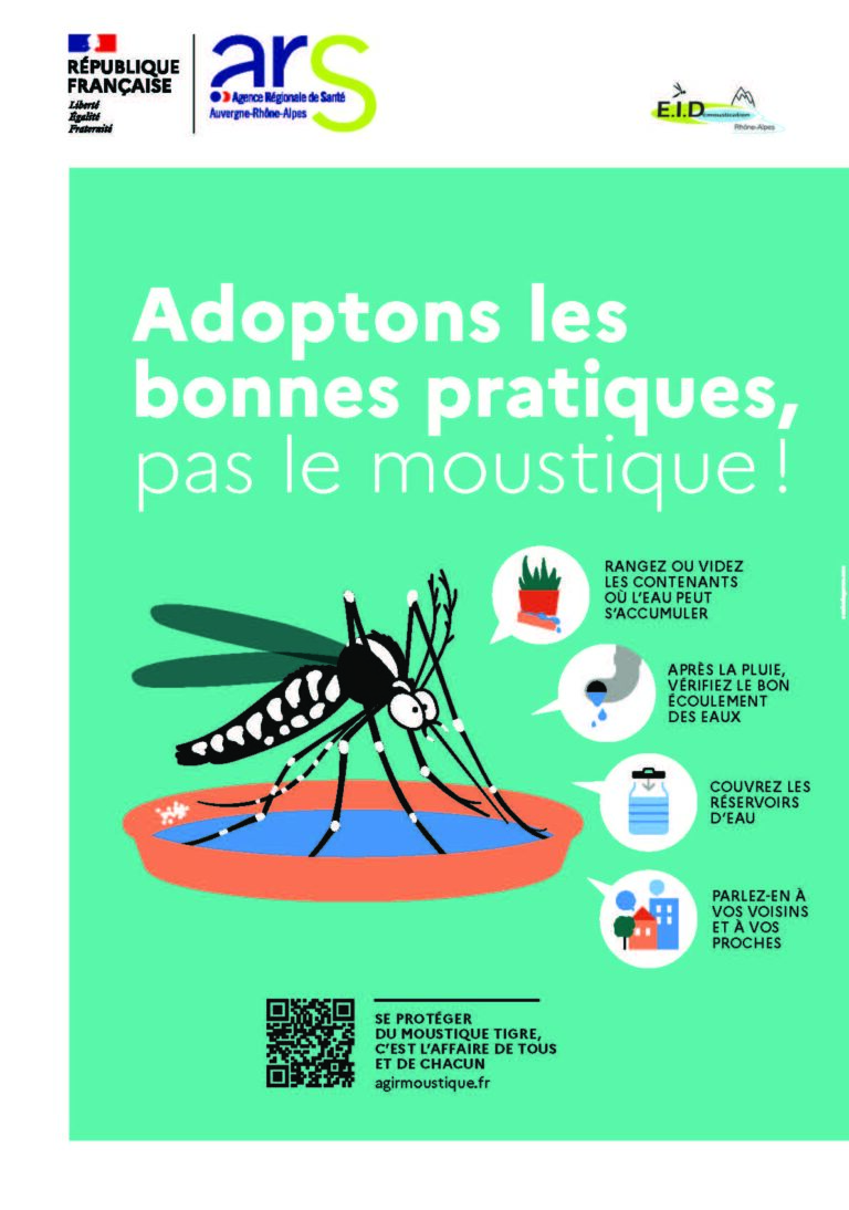 Lire la suite à propos de l’article Moustique tigre : agissons pour passer un été plus tranquille