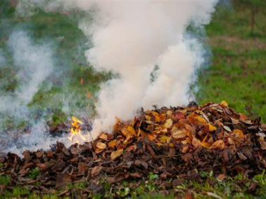 Rappel : le brûlage des déchets verts est interdit