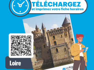 Vous recherchez les horaires TER ou cars Région ?