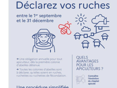Déclaration de détention et d'emplacement des ruches