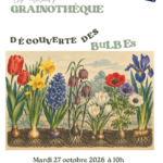 Les rendez-vous de la Médiathèque